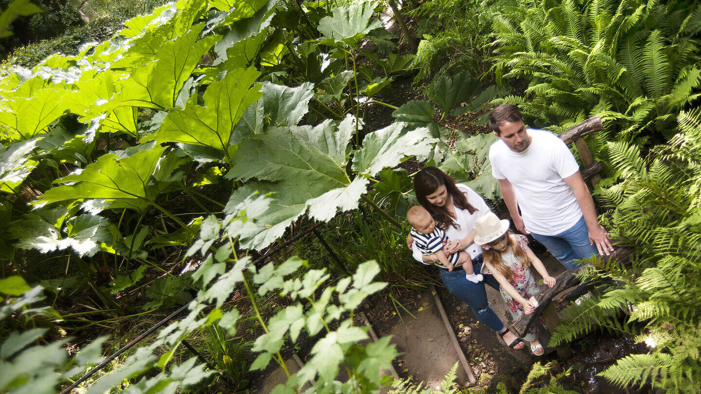 Une famille se promenant dans la végétation du jardin botanique de l'université de Durham