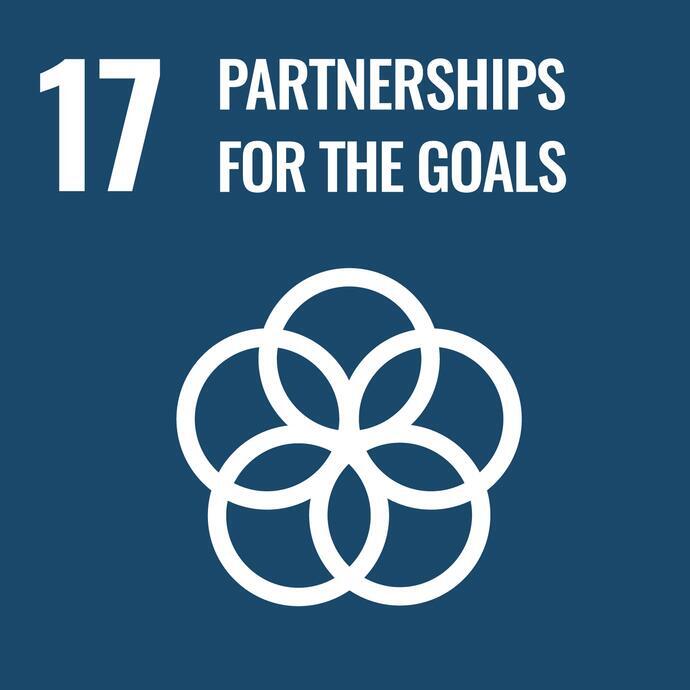 UN SDG 17 partnerships for the goals
