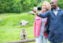 Trentham Monkey Forest