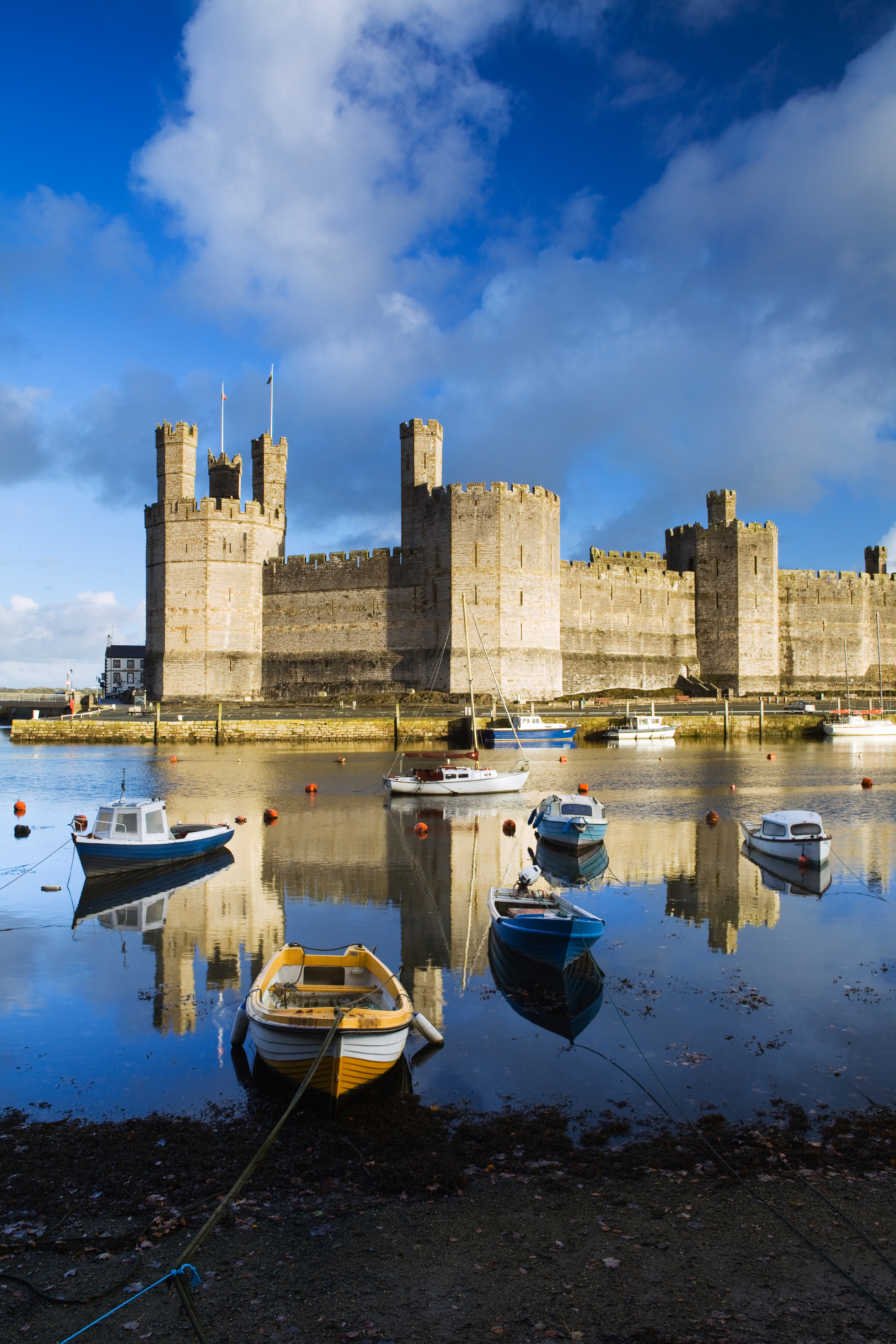 Rowing boats on the water in front of a large castle