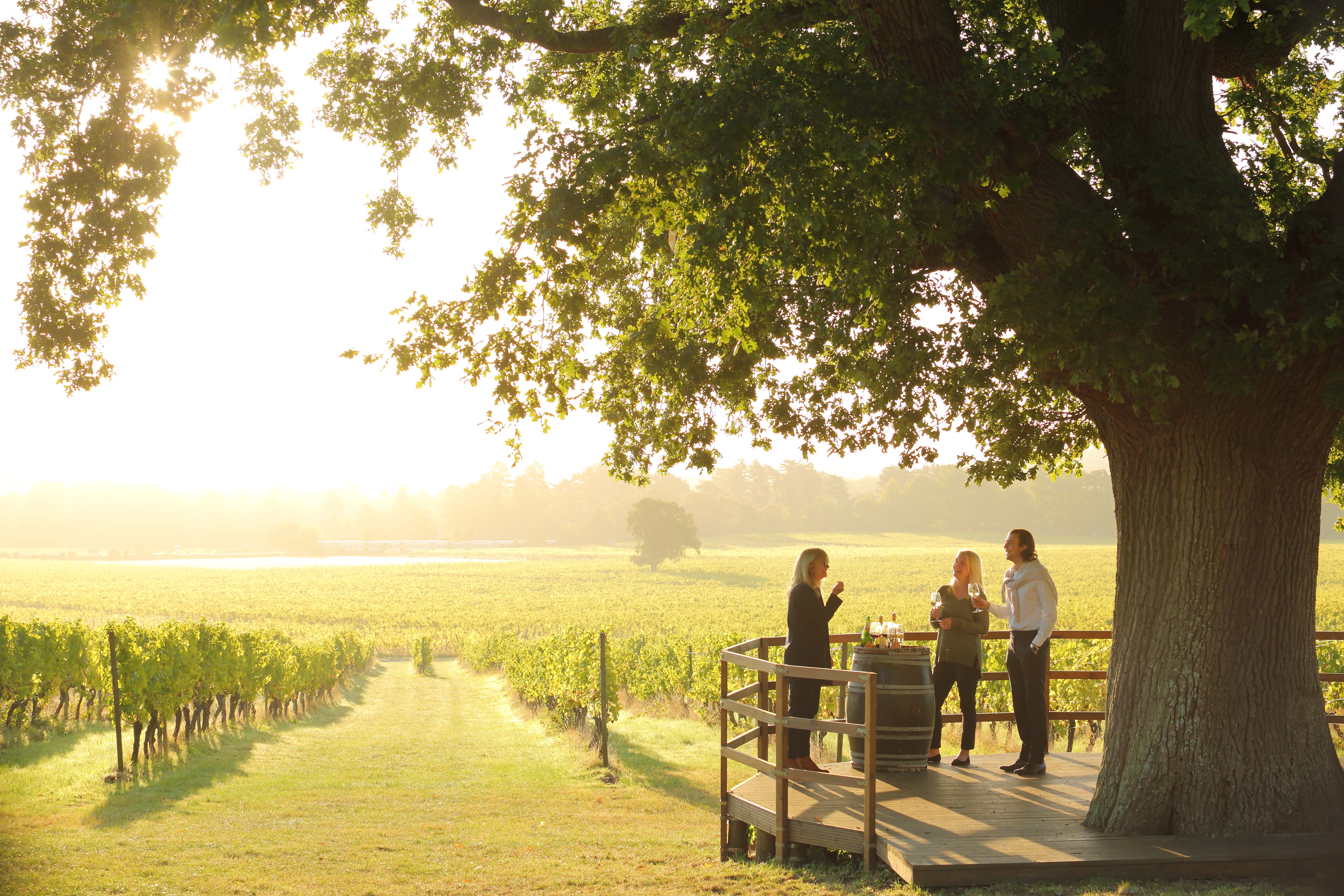 Close up of people standing under tree having a private wine tasting tour