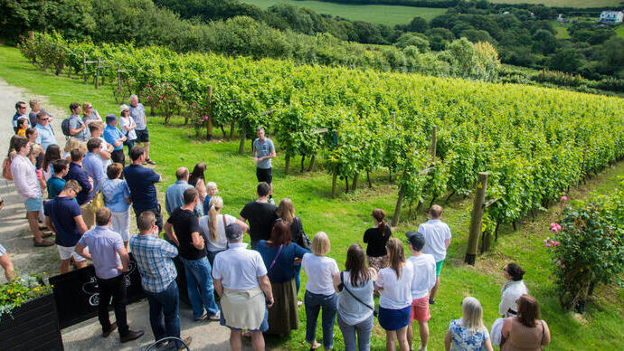 Eine Gruppe von Menschen auf einer Weinverkostungstour im Camel Valley mit Blick auf einen Weinberg