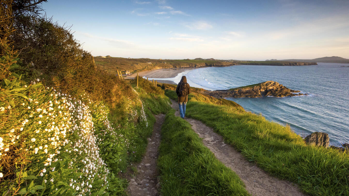 Walker traversing a coastal beach path overlooking a large empty beach.