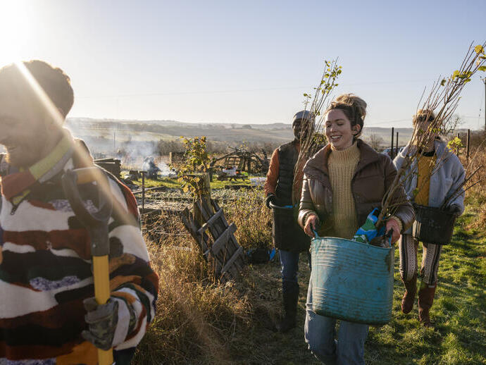 Volunteers working in a field, carrying young plants at an allotment