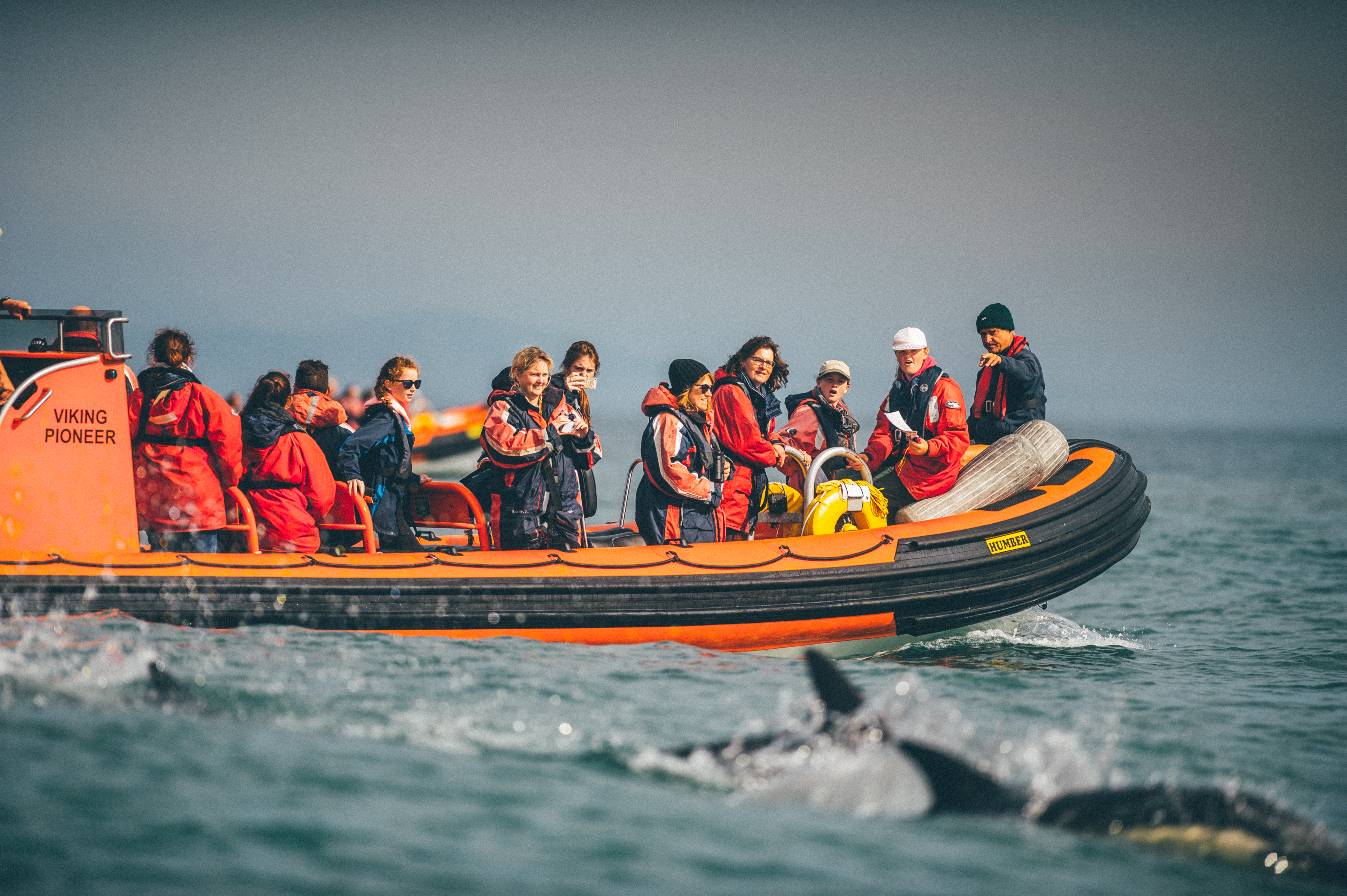 Ramsay Island Boat Trips