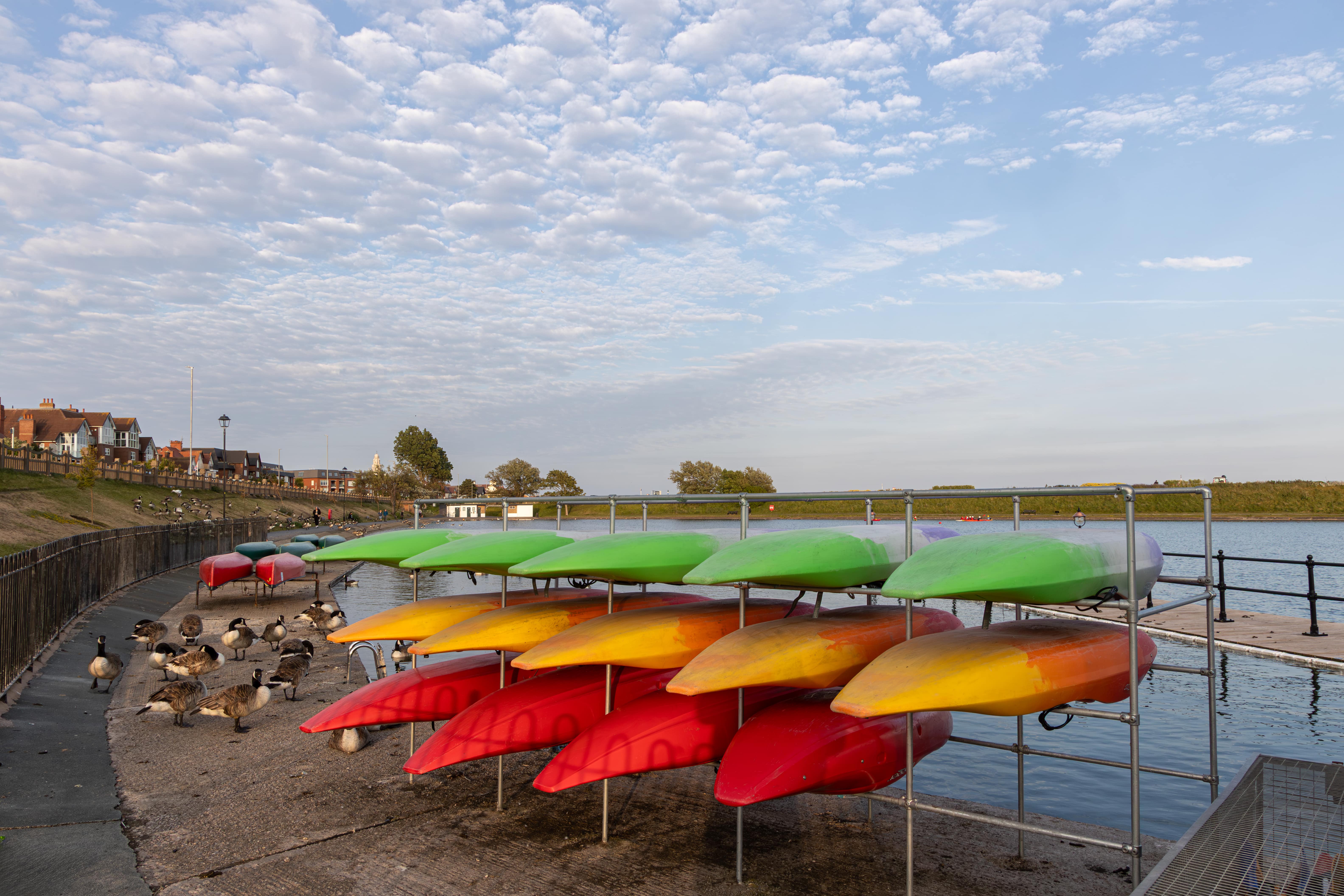 Multi coloured kayaks stacked on the shore with geese in the background
