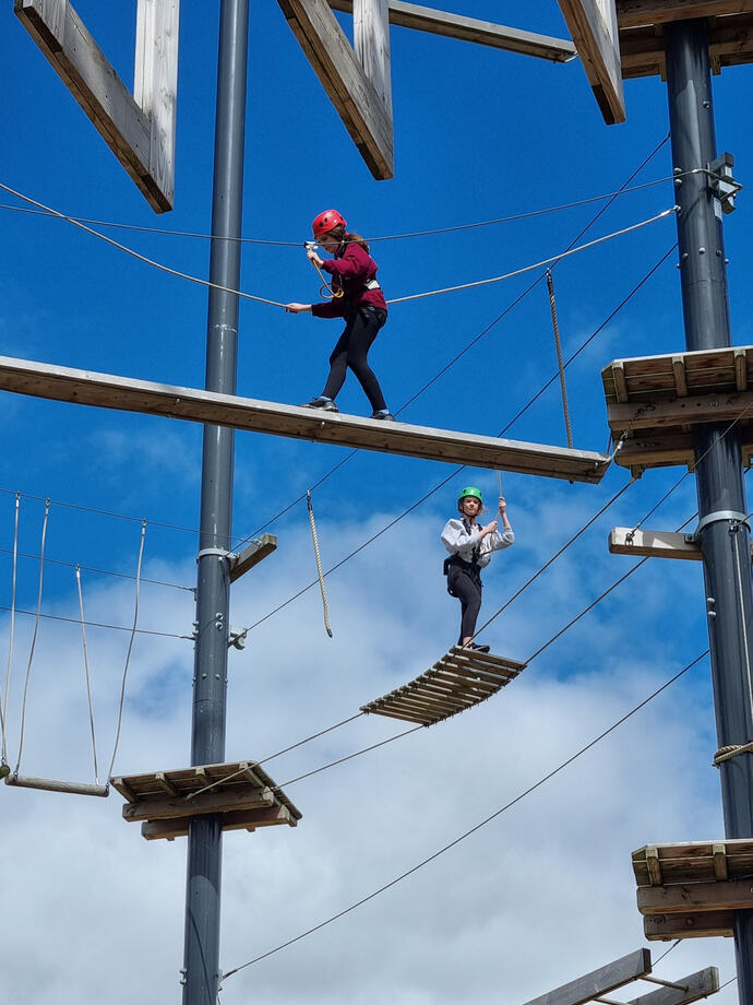 People in harnesses enjoying climbing activities at an adventure park.