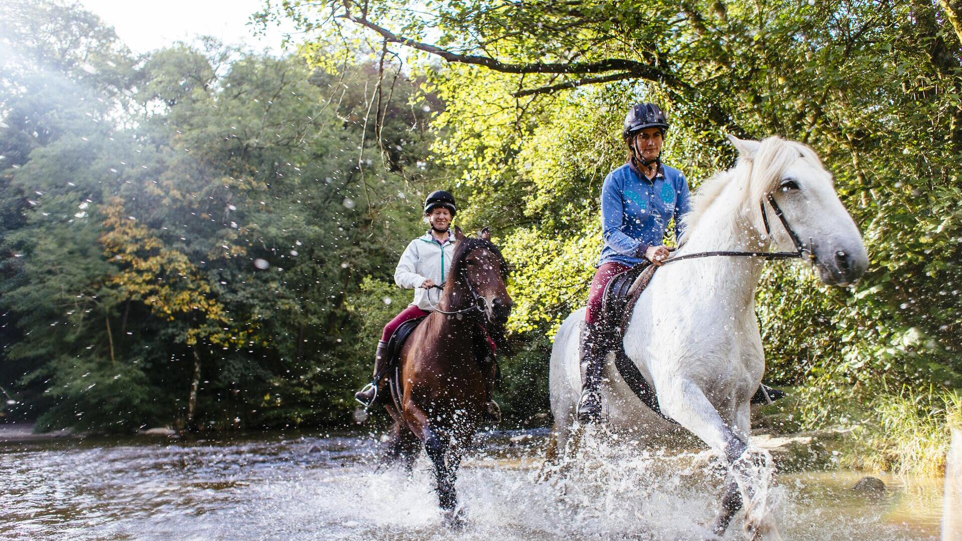 Horses and riders trotting through the shallow water.