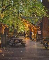 Restaurant The Treehouse