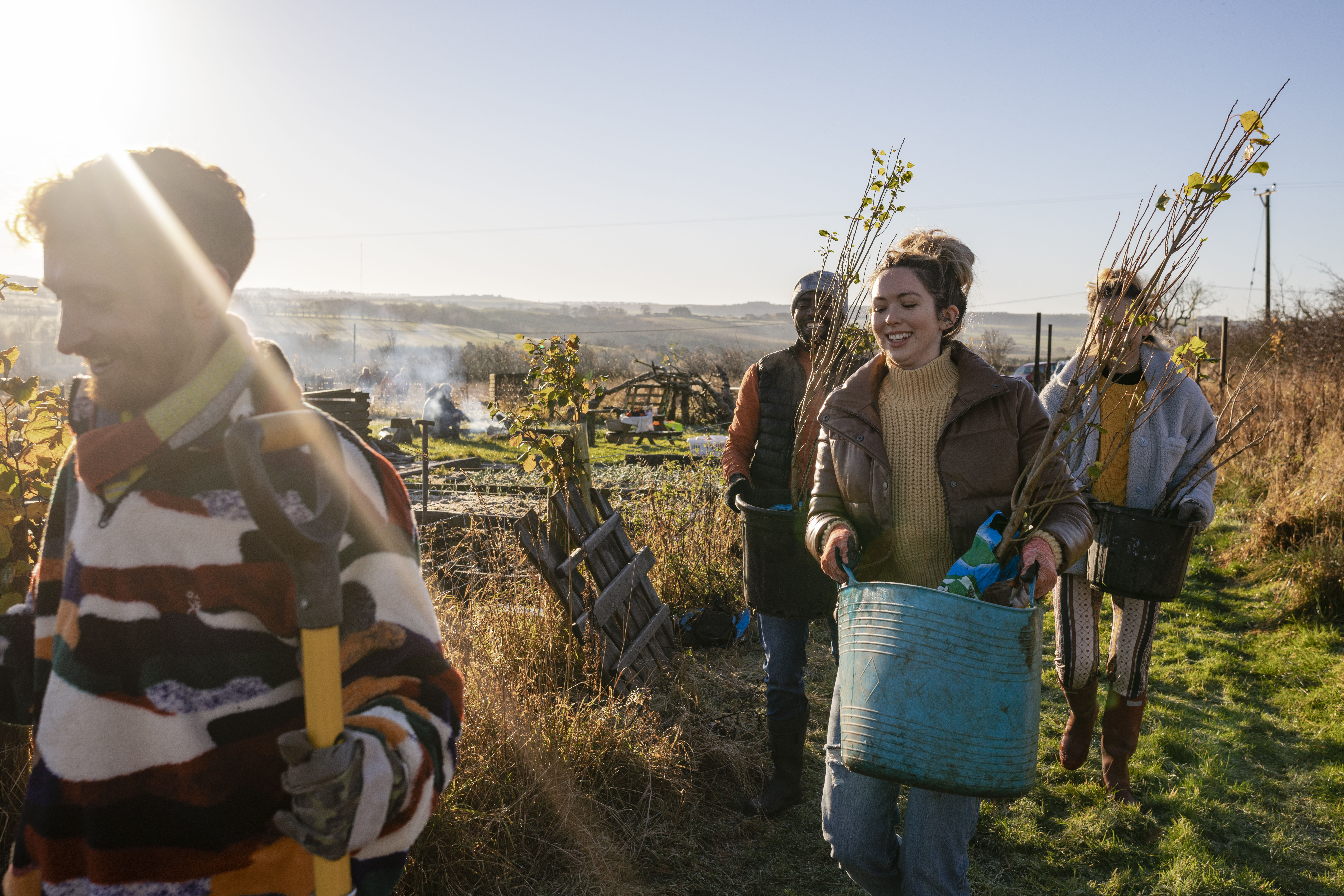 Volunteers working in a field, carrying young plants at an allotment