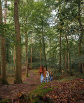 Three friends walking through a forest path.