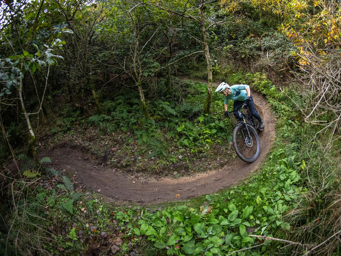 Un ciclista che pedala tra gli alberi lungo una pista ciclabile avventura appositamente costruita in una grande foresta.