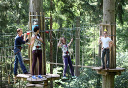 Go Ape Thetford