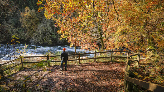 A person exploring a nature reserve on an autumnal day with a river flowing by.