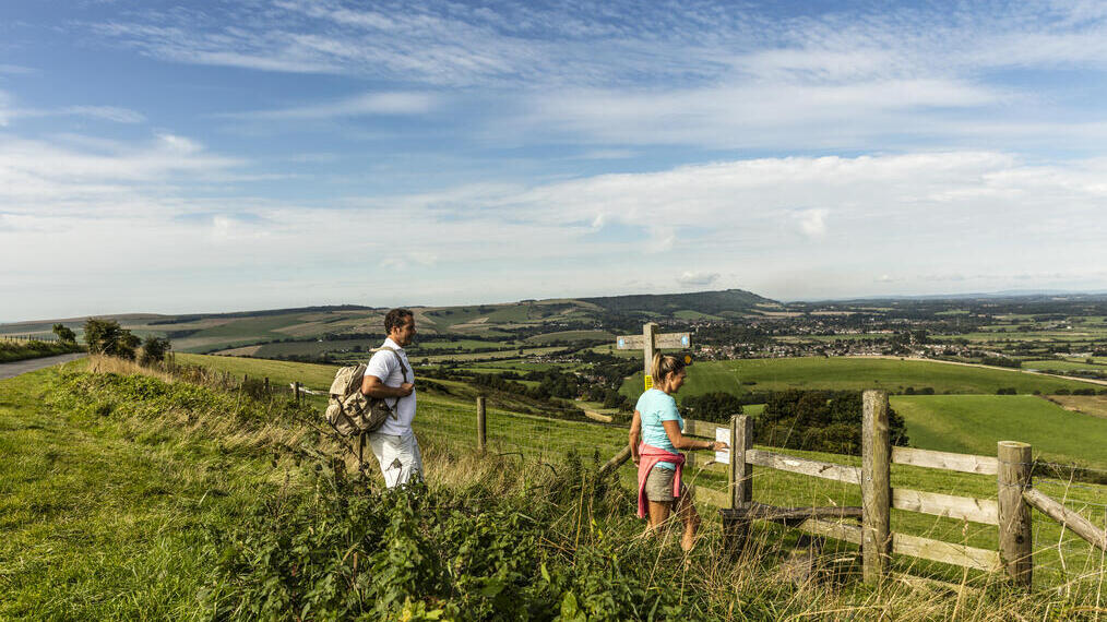 Caminantes por un sendero entre campos, cerca de una señal indicadora y una escalera