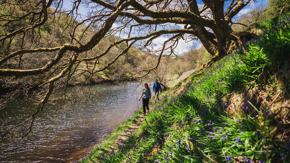 Deux personnes en randonnée au bord d'une rivière, sous un arbre, sur le Glyndwr's Way, à Welshpool