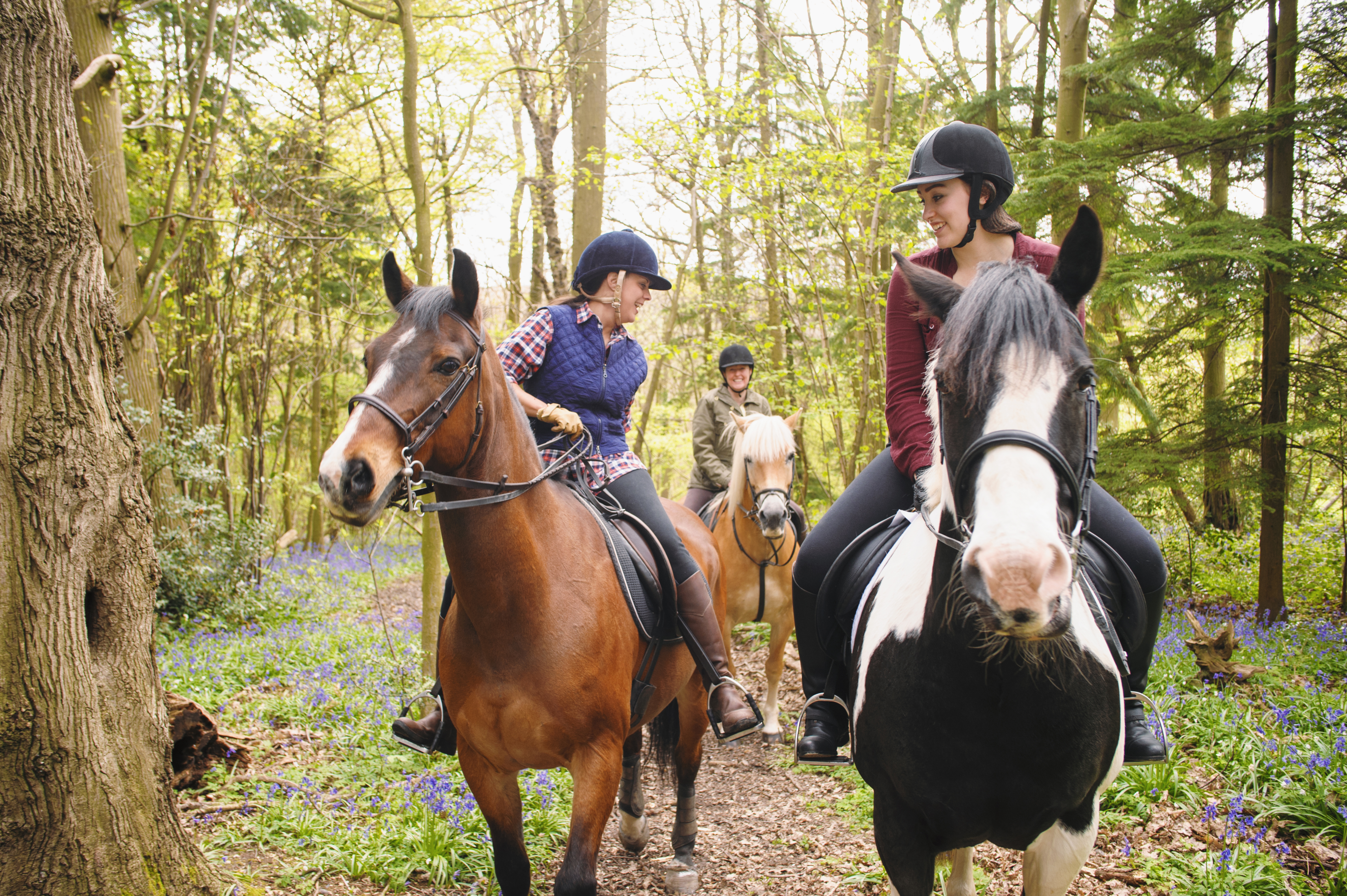 Horseback riders riding through a forest and talking