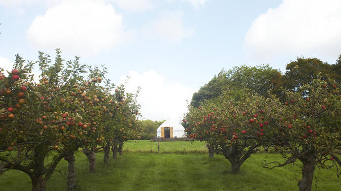 Una yurta in un campeggio in un frutteto
