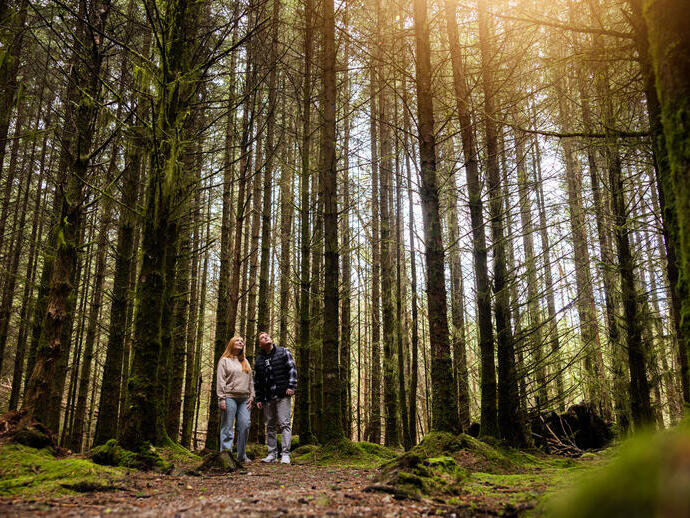 A man and a woman stand among tall trees in a forest