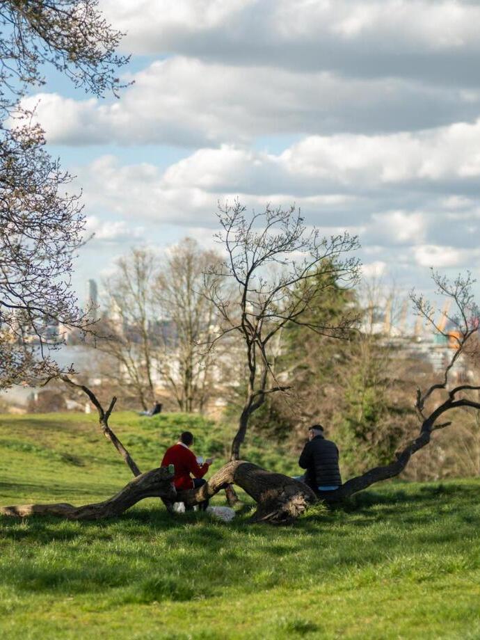 Menschen in einem Park sitzen auf einem umgestürzten Ast und blicken auf einen Park mit Blick auf die Stadt und den Fluss.