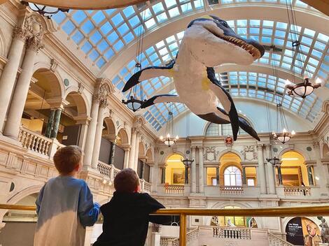 Musée et galerie d'art de Bristol