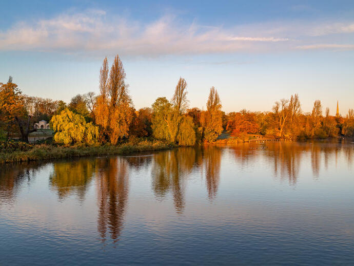 See und Bäume im Hyde Park