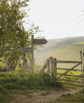 Countryside path with wooden gate, direction signs for Yorkshire Wolds Way, grassy hills, and scattered trees in soft sunlight.