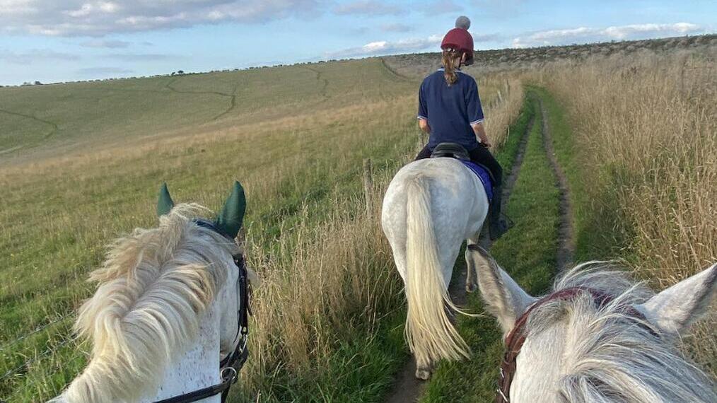 Hit the trail on horseback. Small group on horseback riding through a field.
