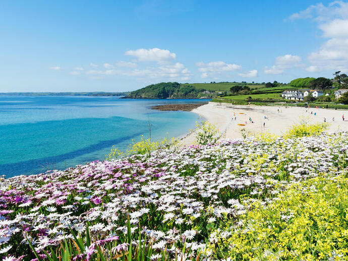 Flower fields leading up to a pretty beach and turquoise sea