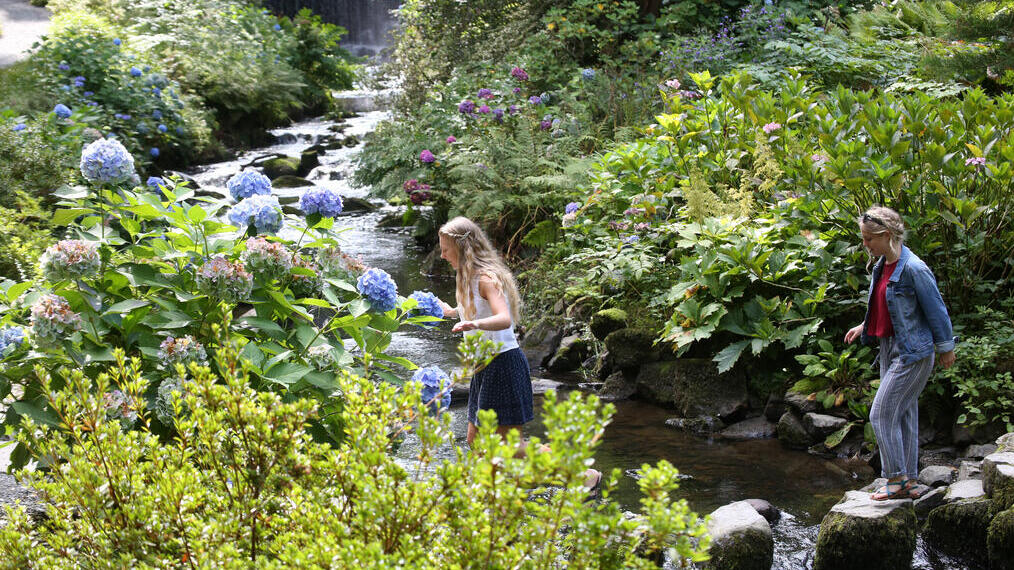 Friends crossing a stream in a floral garden.