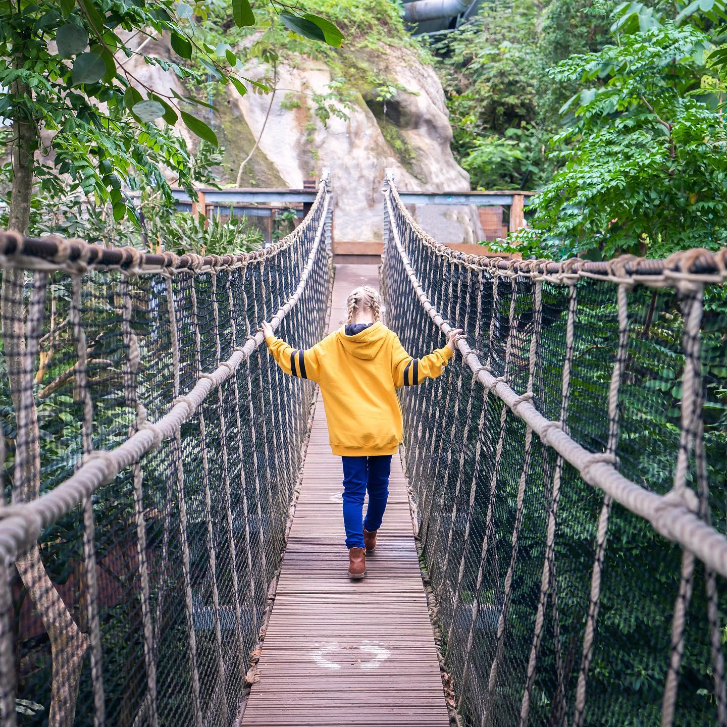 Mädchen, das über eine Brücke im Eden Project geht