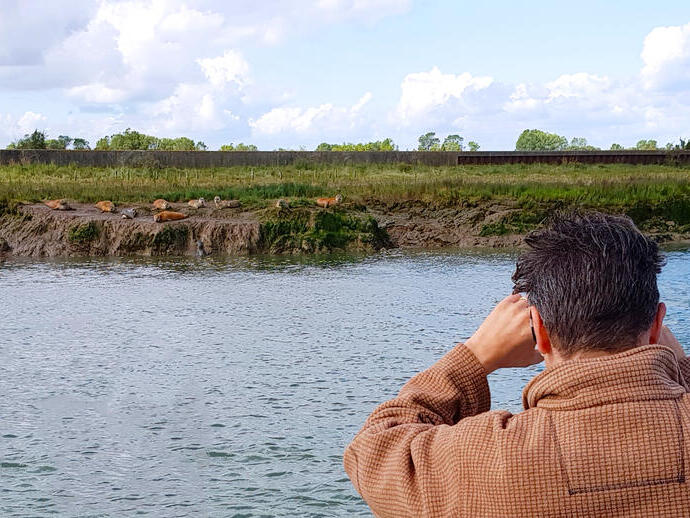 A man spotting seals on the Essex coastline from a ferry