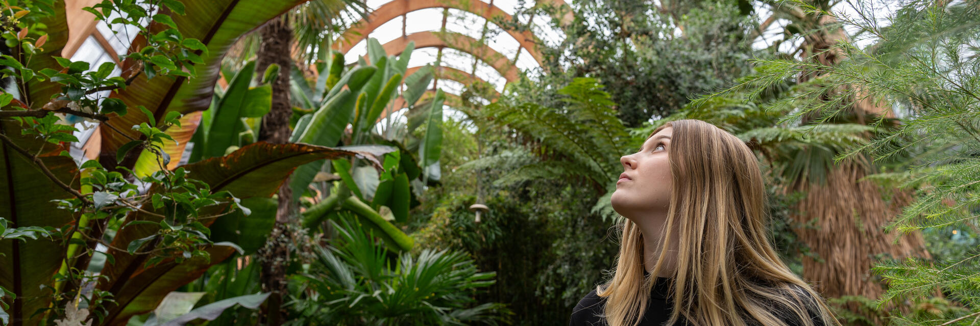 A person looking up while standing in a lush indoor greenhouse filled with various tropical plants and green foliage.