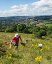 A volunteer conservation group at Solsbury Hill, Bath Skyline