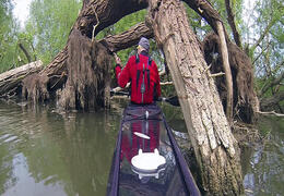 Oxford Kayak Tours