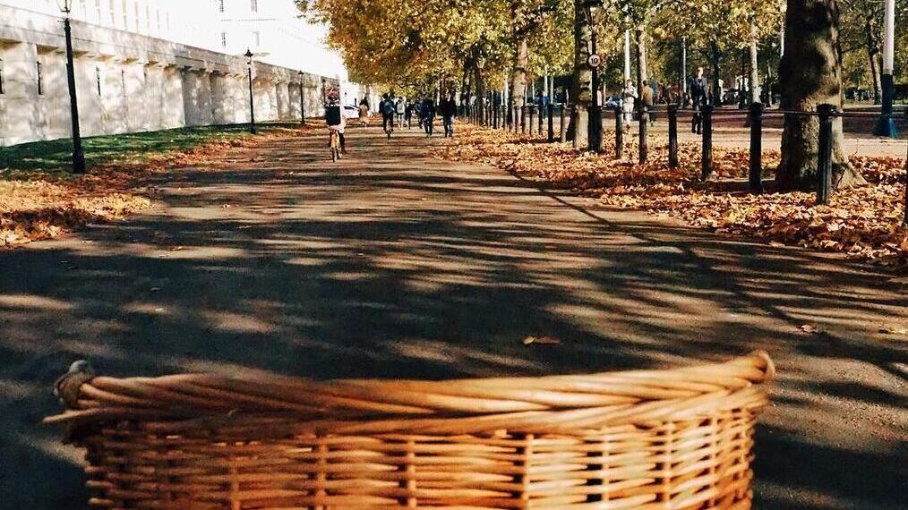 Une rue bordée d'arbres, le circuit à vélo original