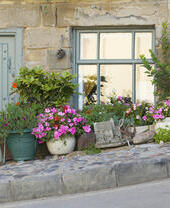 A cottage on a hill with plants in pots outside door