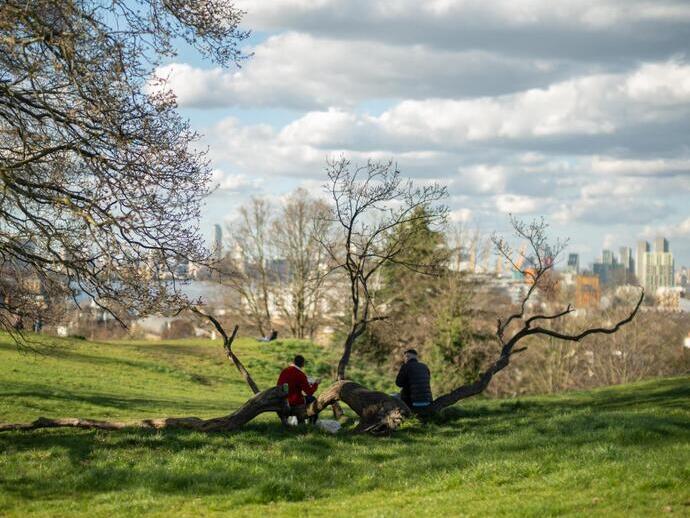Menschen in einem Park sitzen auf einem umgestürzten Ast und blicken auf einen Park mit Blick auf die Stadt und den Fluss.