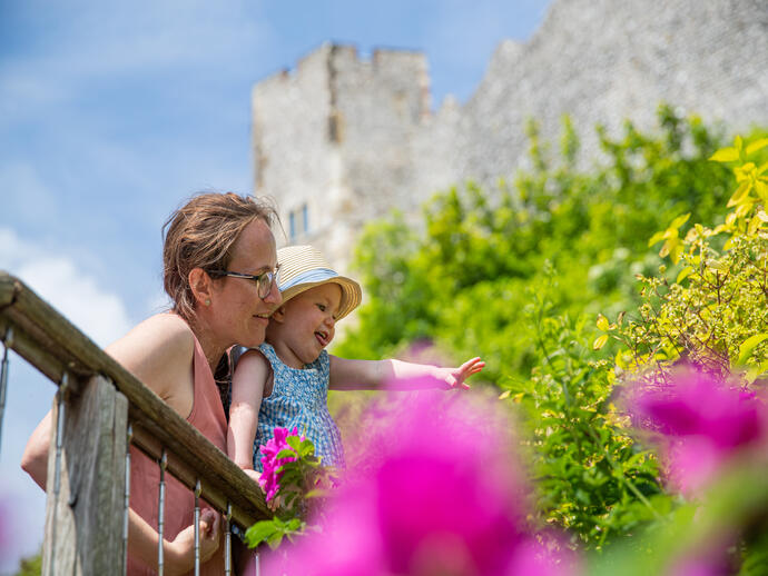 Lewes Castle and Barbican House Museum