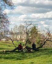 Personas en un parque sentadas en una rama caída de un árbol con vistas al parque, la ciudad y el río.