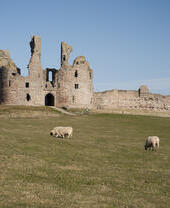 Dunstanburgh Castle