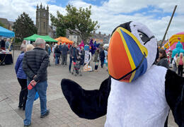Amble Puffin Festival