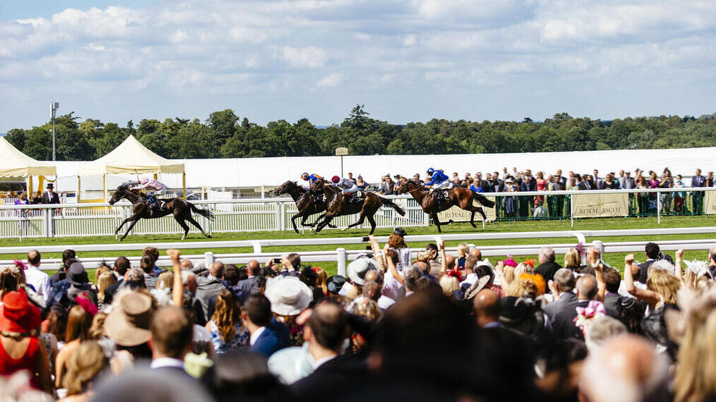 Big group of spectators watching race. Racehorses galloping