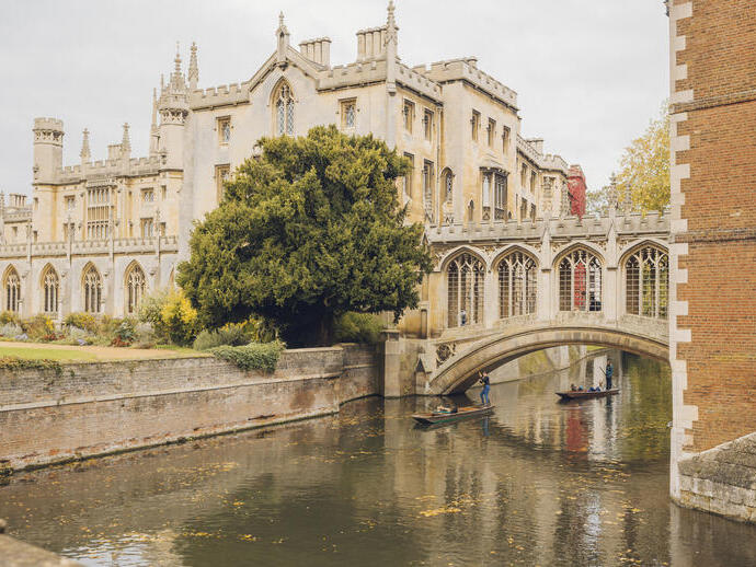 Menschen, die unter einer Brücke vor einem historischen Gebäude auf dem Fluss rudern