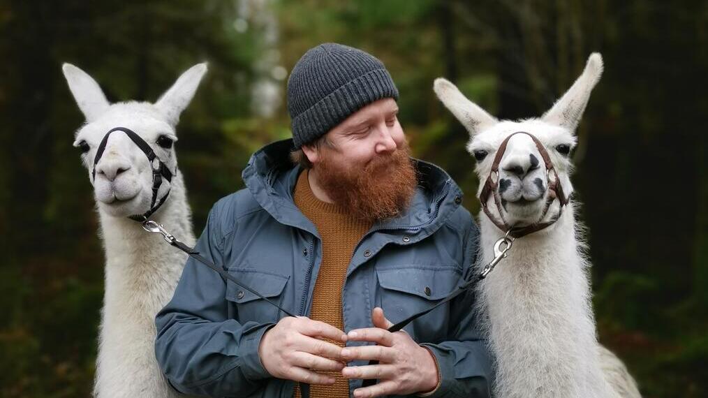 A bearded man wearing a wool hat holding two white alpacas