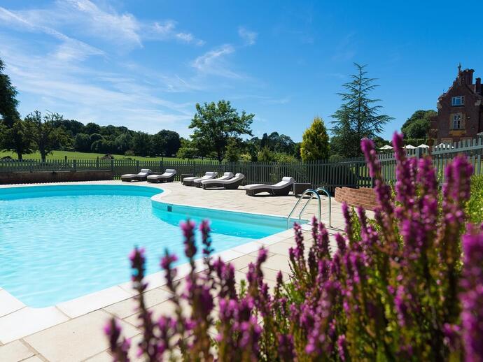 Swimming pool surrounded by a garden on a sunny day