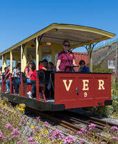 train with people on board, in the summer