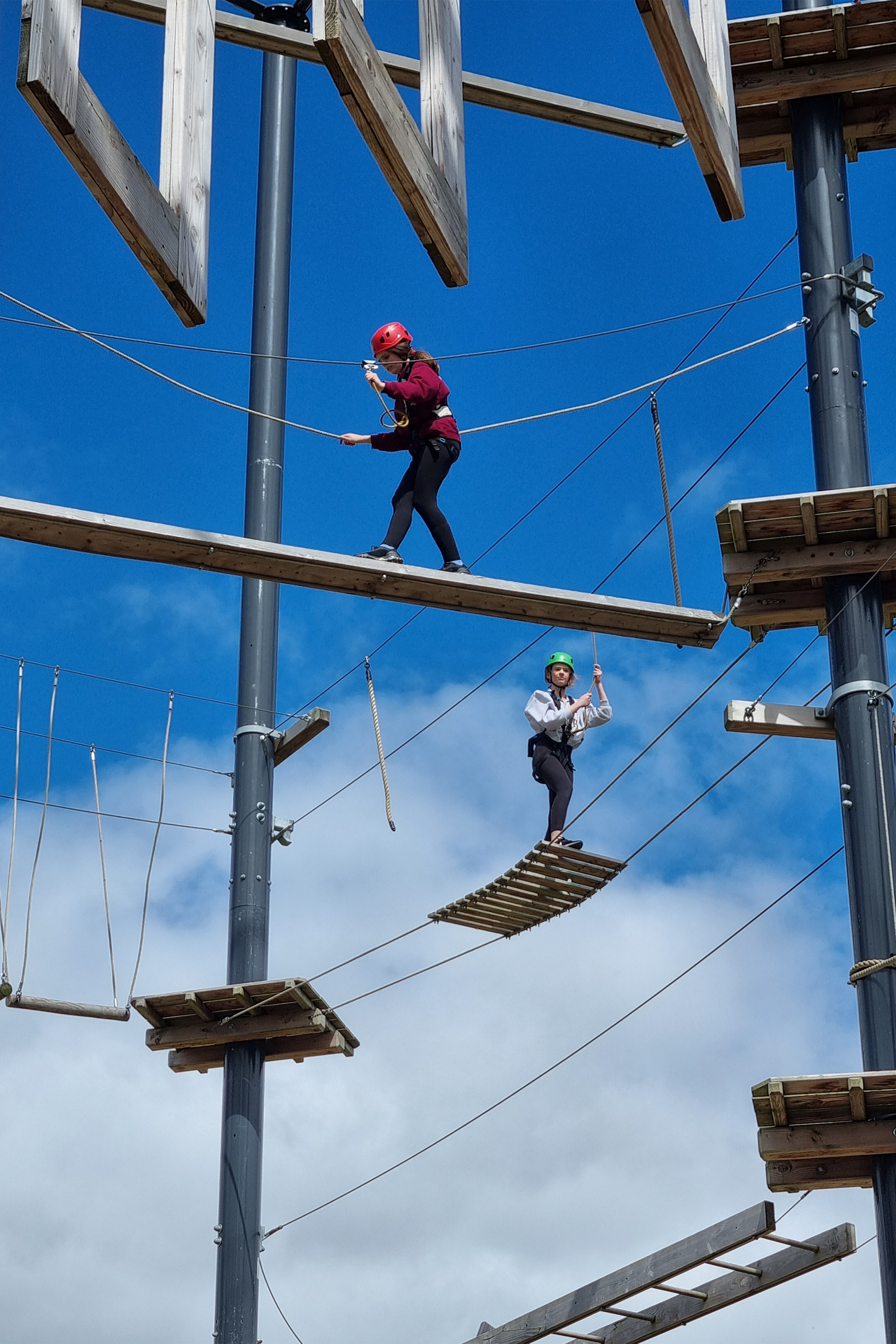 People in harnesses enjoying climbing activities at an adventure park.