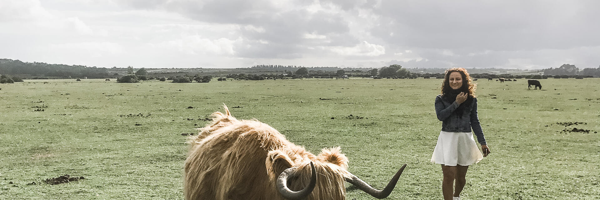 Fille en jupe blanche marchant à côté d'une vache des Highlands