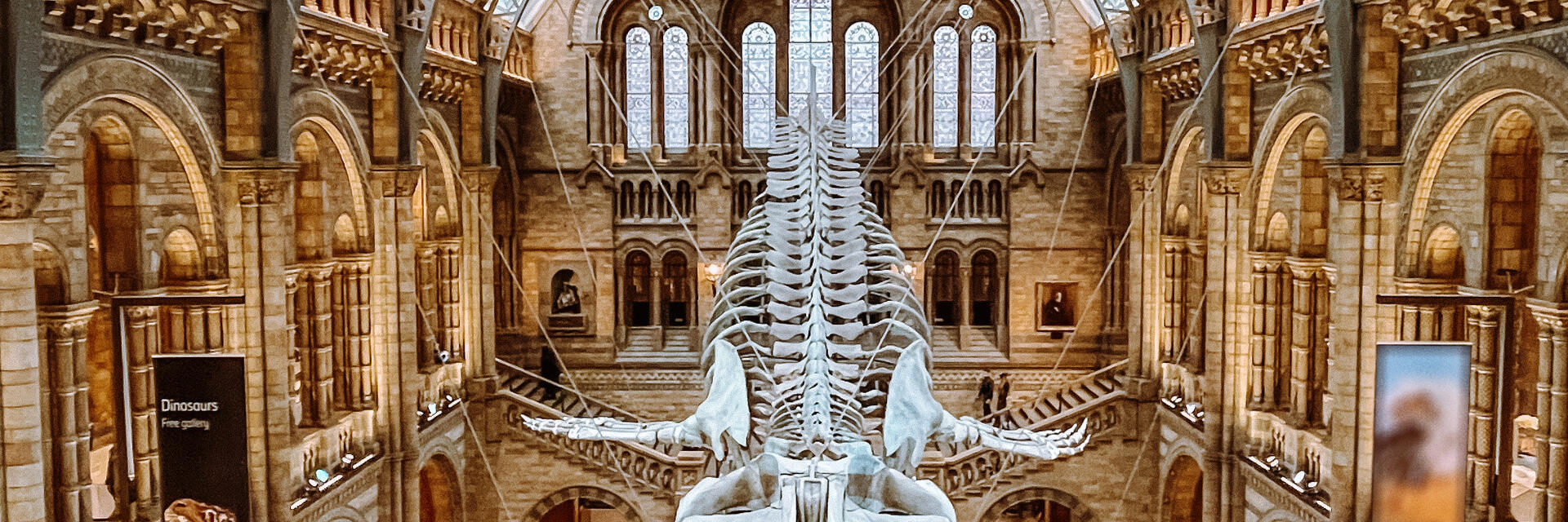 Vue depuis le balcon d'un musée sur un squelette de dinosaure flottant suspendu au plafond.